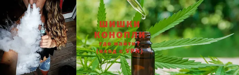 Конопля White Widow  нарко площадка какой сайт  Болохово  закладка 